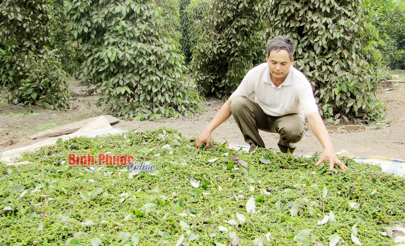 Thu ng&acirc;n s&aacute;ch nh&agrave; nước: Khả quan năm 2016 v&agrave; dự kiến tăng mạnh năm 2017