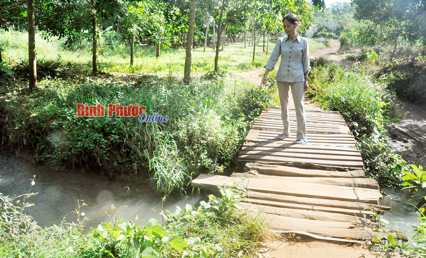 Cầu ơi bao giờ… bắc?   