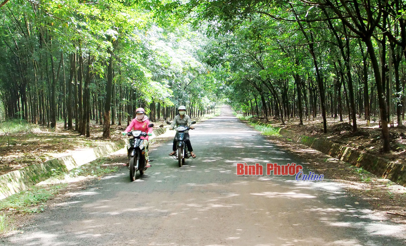 Kinh nghiệm tham gia xây dựng NTM của phụ nữ xã Thuận Phú