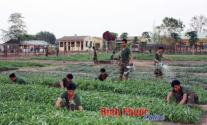 B&igrave;nh Phước gắn ph&aacute;t triển kinh tế - x&atilde; hội với tăng cường quốc ph&ograve;ng an ninh