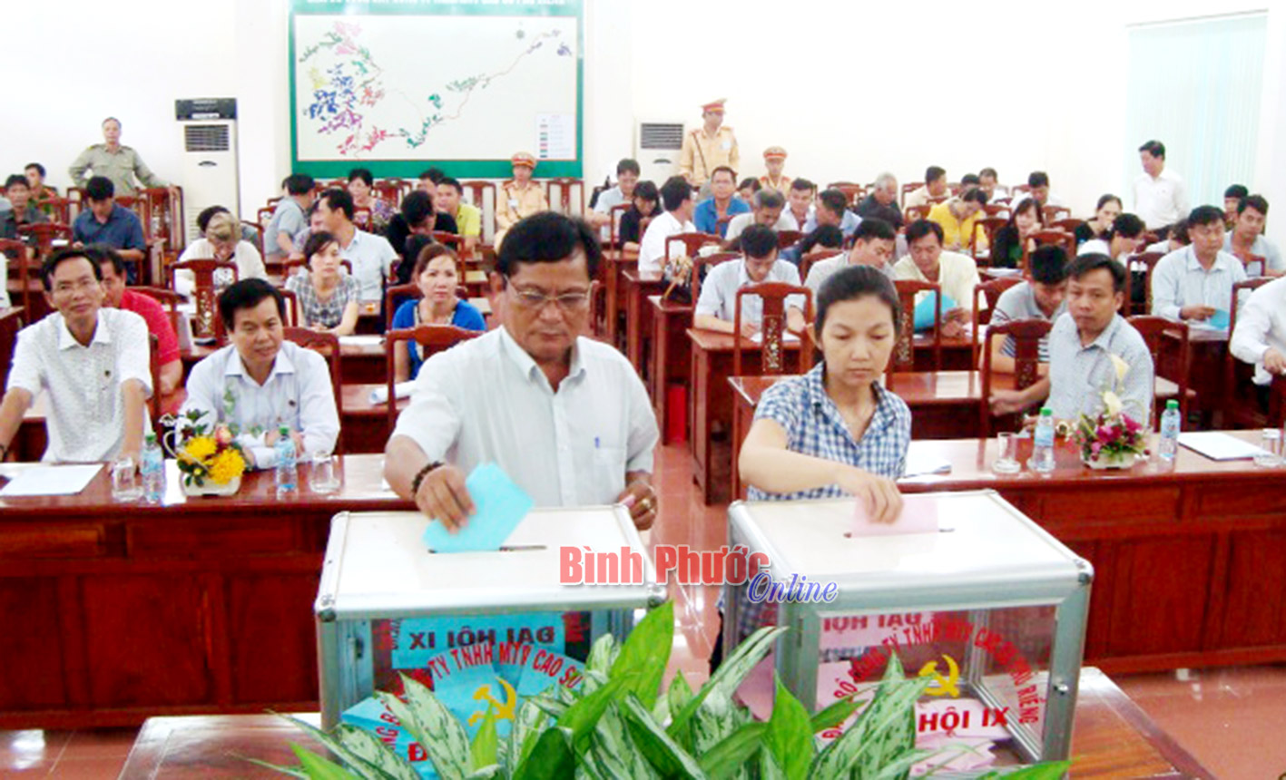 Cao su Phú Riềng thu vượt trên 10 tỷ đồng từ đấu giá cây cao su thanh lý