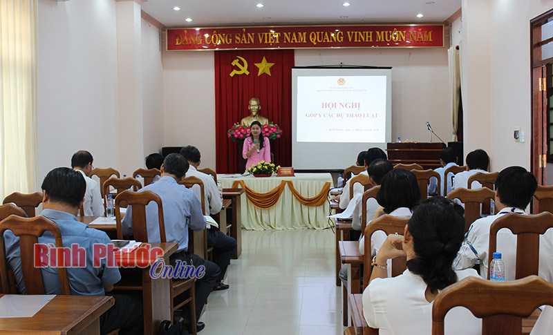 Đo&agrave;n đại biểu Quốc hội tỉnh lấy &yacute; kiến g&oacute;p &yacute; cho 2 dự thảo luật