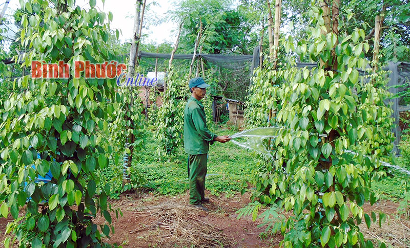 Đổi thay ở Tiểu khu 67