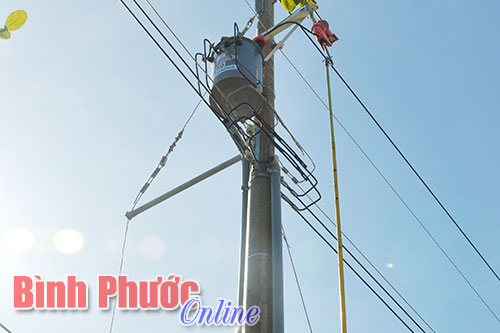 Đưa vào sử dụng đường điện ấp 9, xã Thanh Hòa