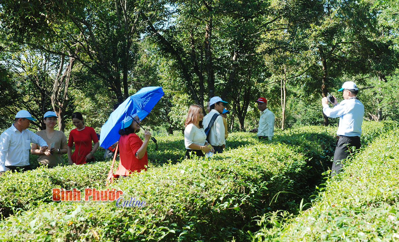 Giới thiệu điểm đến du lịch Bình Phước năm 2016