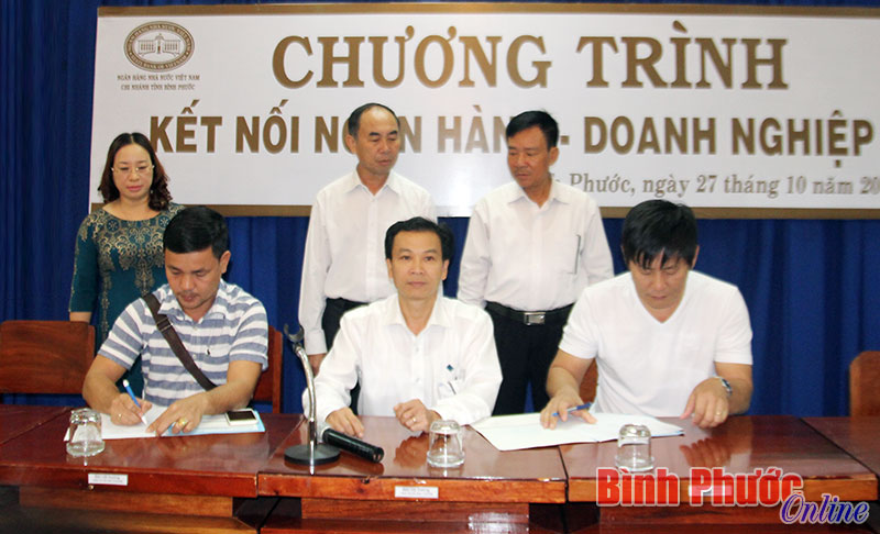 Dư nợ cho vay xây dựng NTM 10.695 tỷ đồng