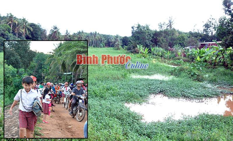 Hồ chứa nước đội 8, xã Đa Kia ô nhiễm nặng