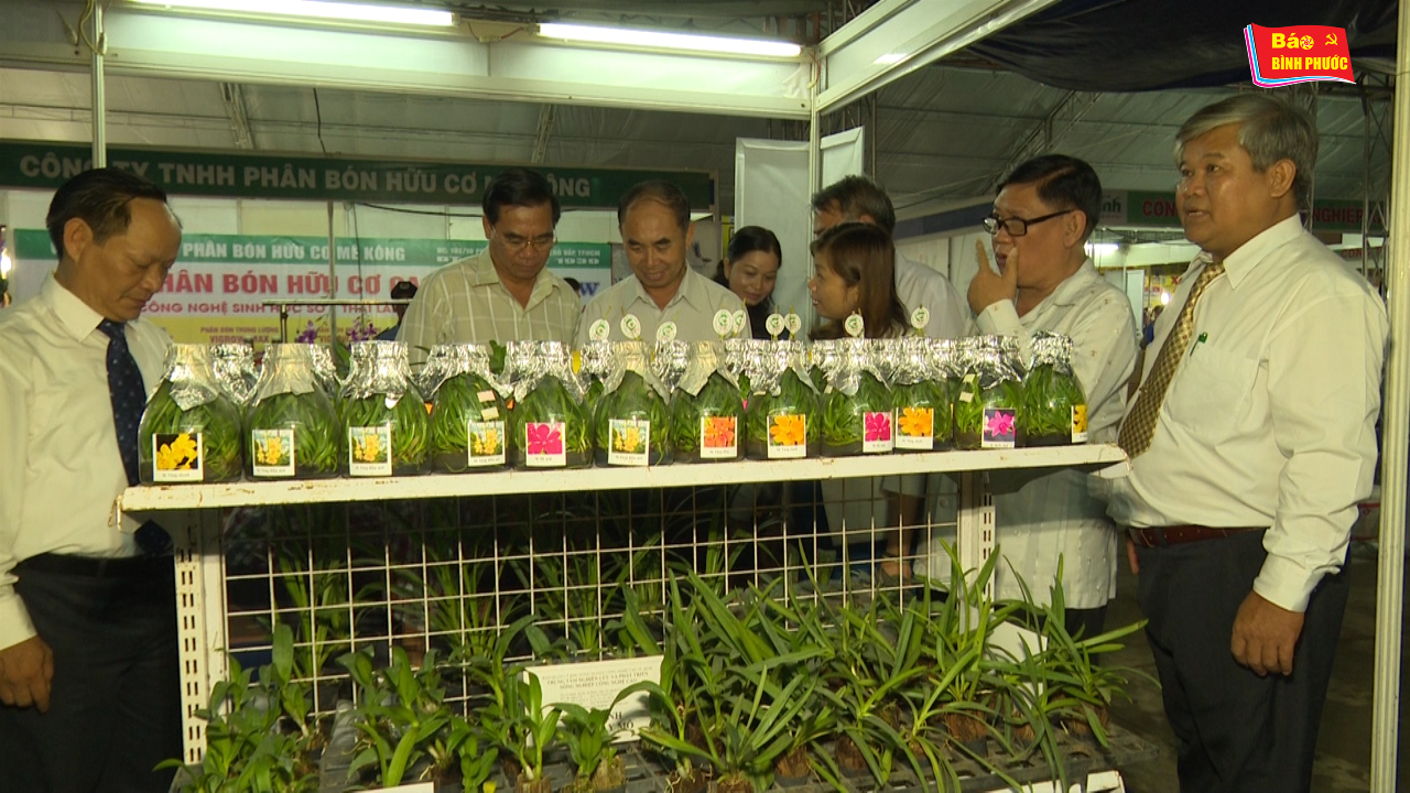 [Video] Hội thảo đẩy mạnh sản xuất, chế biến và xuất khẩu điều Bình Phước