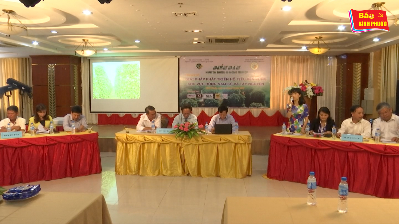 [Video] Diễn đàn giải pháp phát triển hồ tiêu bền vững khu vực Đông Nam bộ và Tây nguyên