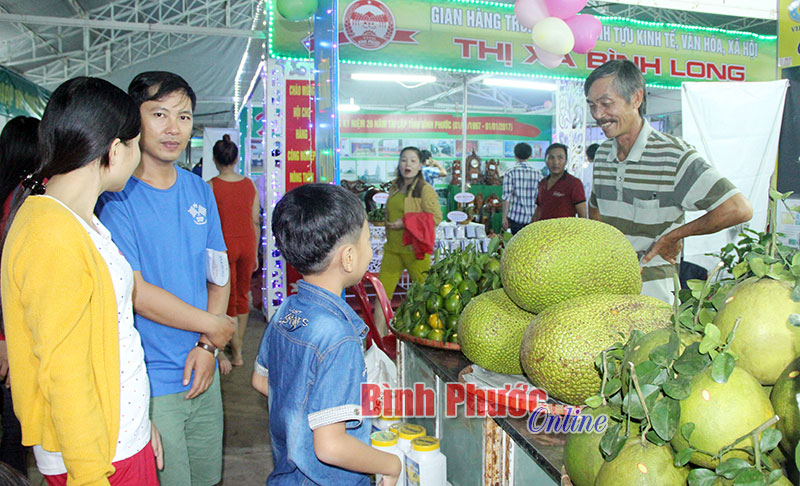 Nhiều hoạt động trong tuần lễ cao điểm kỷ niệm 20 năm Ng&agrave;y t&aacute;i lập tỉnh B&igrave;nh Phước