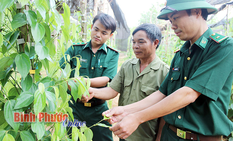 Hướng đến mục tiêu giảm nghèo bền vững 