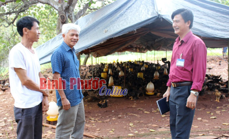 Liên kết cùng làm giàu