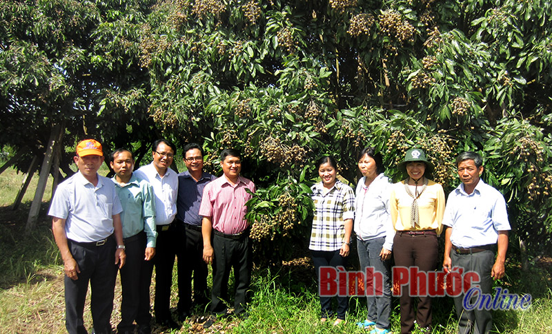 T&acirc;n Th&agrave;nh chuyển m&igrave;nh khởi sắc