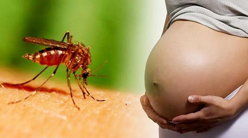 Chồng thai phụ nhiễm virus Zika ở Bình Dương có triệu chứng tương tự 