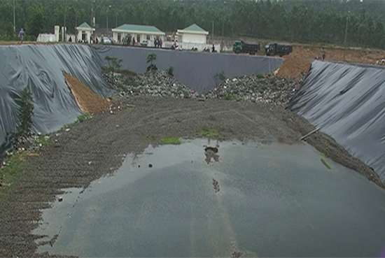 Tiêu hủy 275 tấn hải sản bị nhiễm cadimi và phenol 