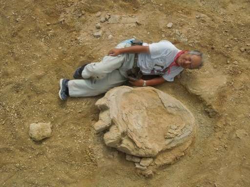 Phát hiện dấu chân khủng long khổng lồ tại sa mạc Mông Cổ