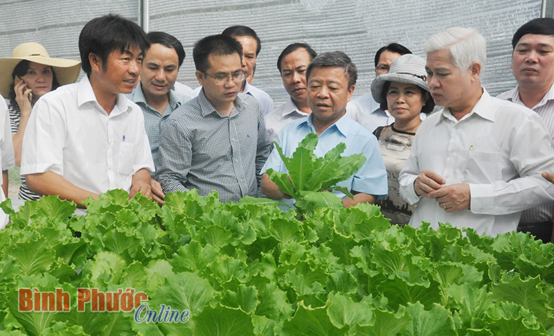 Kinh tế tập thể nhiều khởi sắc