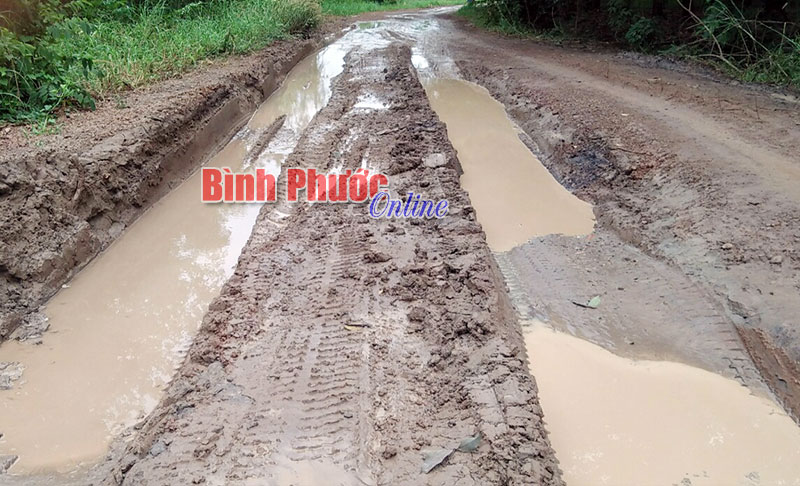 Lại khổ vì đường xuống cấp