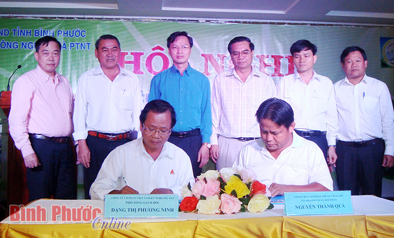 Liên kết chuỗi sản phẩm để tái cơ cấu ngành chăn nuôi