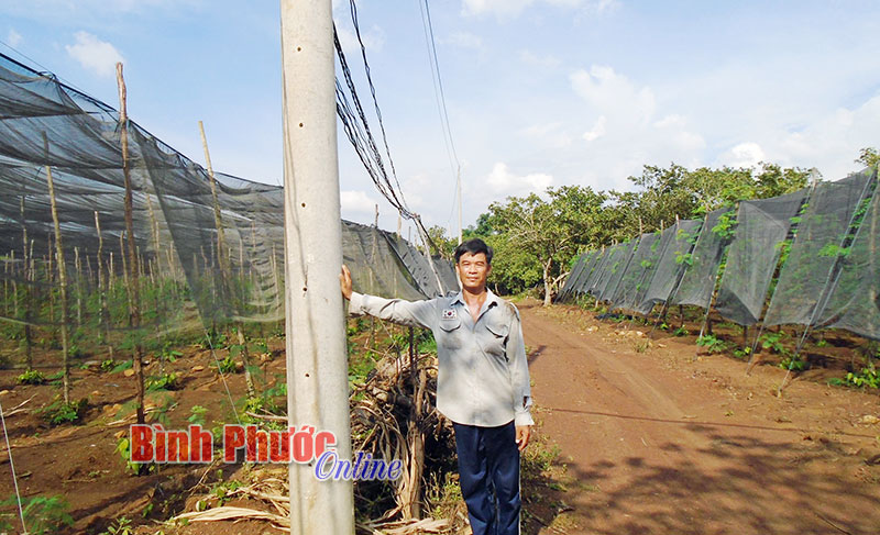 X&acirc;y dựng đời sống văn h&oacute;a ở khu d&acirc;n cư