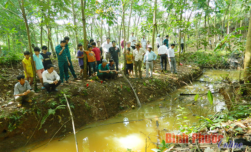 Lộc Ninh: Hai bé trai chết đuối thương tâm