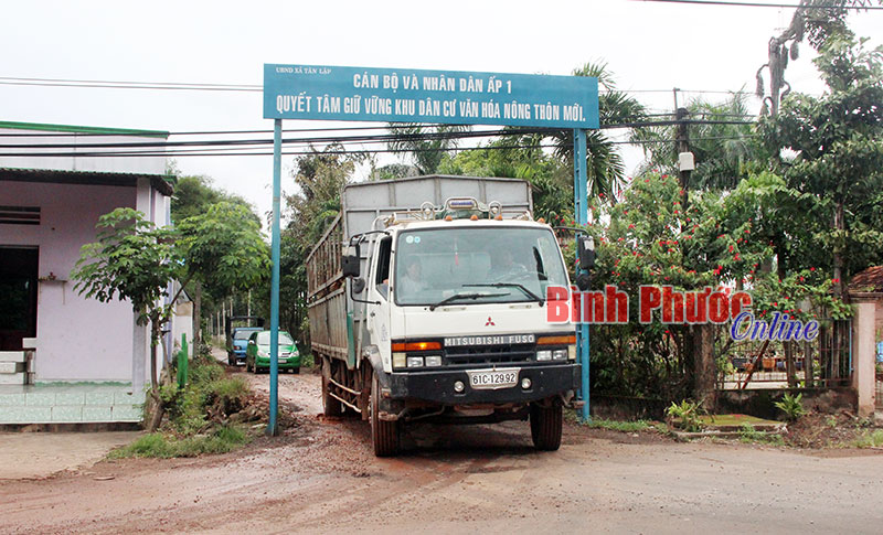 Ai cũng thấy, chỉ...