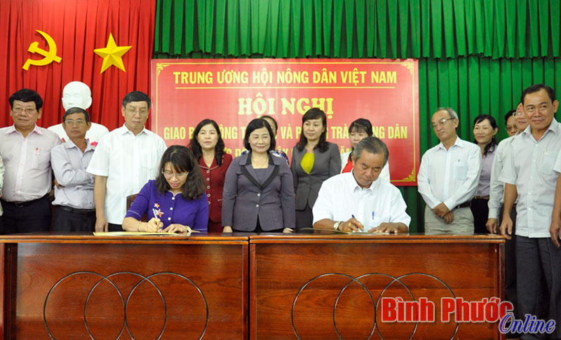 Sớm đề xuất giải pháp giúp nông dân vượt qua thiên tai