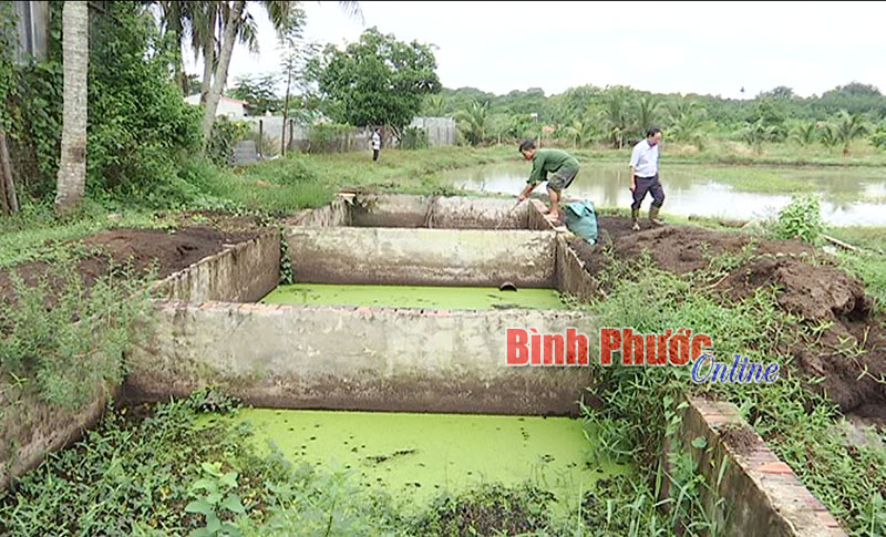 Cơ sở sản xuất tiêu sọ Phương Ngọc ở Bình Long gây ô nhiễm môi trường