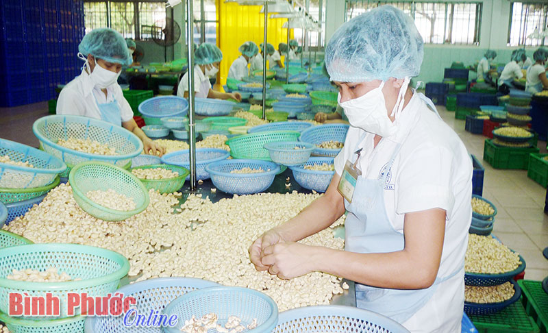 Hỗ trợ phụ nữ ph&aacute;t triển kinh tế, giảm ngh&egrave;o bền vững l&agrave; nhiệm vụ h&agrave;ng đầu