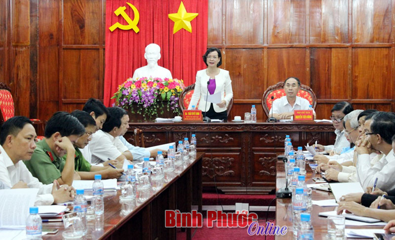 R&agrave; so&aacute;t c&ocirc;ng t&aacute;c chuẩn bị tổ chức c&aacute;c hoạt động ch&agrave;o mừng kỷ niệm 20 năm ng&agrave;y t&aacute;i lập tỉnh