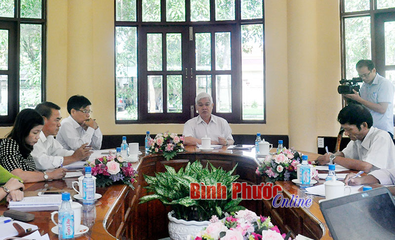 Thành viên HTX điều, tiêu được hỗ trợ hệ thống tưới nhỏ giọt 