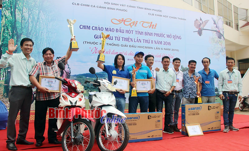 Thi chim ch&agrave;o m&agrave;o đấu h&oacute;t - Nơi kết nối đam m&ecirc; v&agrave; chia sẻ kh&oacute; khăn