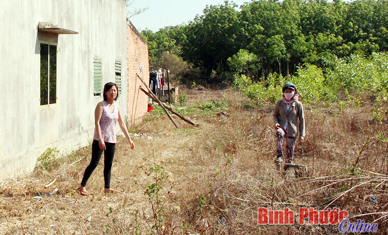 Th&ocirc;ng tin th&ecirc;m về vụ cấp đất tr&ecirc;n giấy ở x&atilde; T&acirc;n Hưng