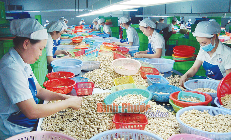 Cơ hội v&agrave;ng thu h&uacute;t đầu tư