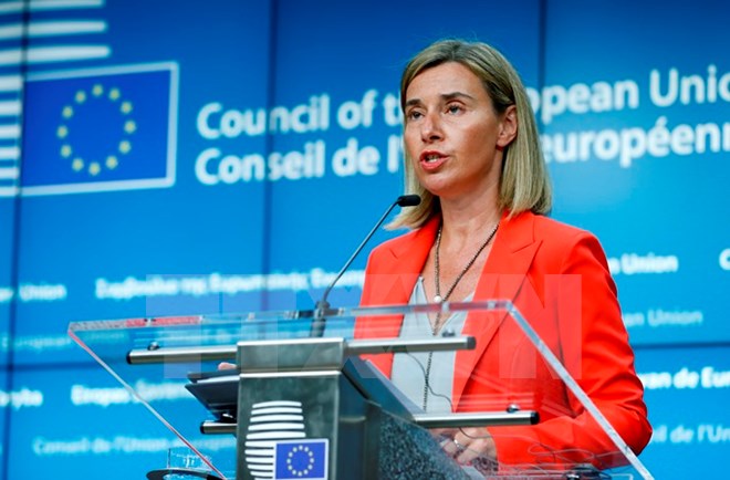 Các quốc gia thành viên EU chia rẽ trong chính sách quốc phòng