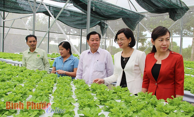 Đẩy nhanh tiến độ chỉnh trang đ&ocirc; thị phục vụ 20 năm ng&agrave;y t&aacute;i lập tỉnh