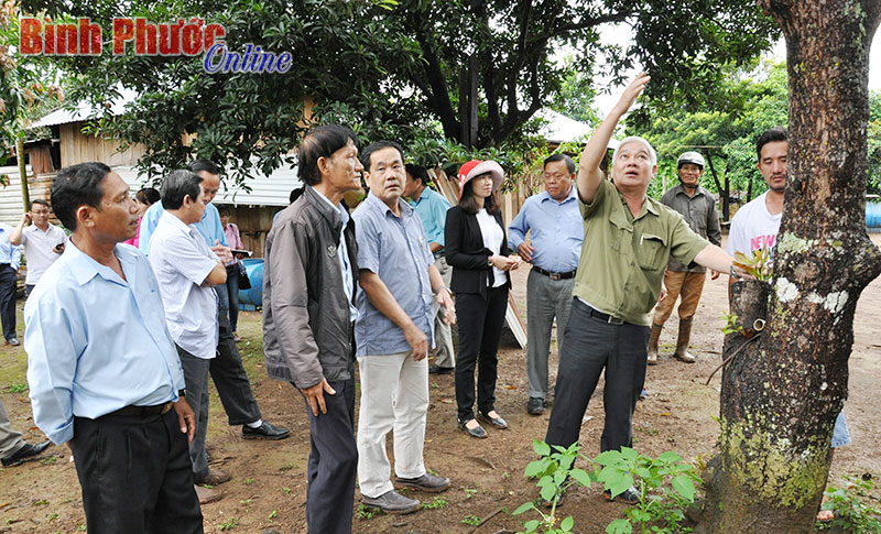 Giấy thông hành đặc biệt cho hạt điều