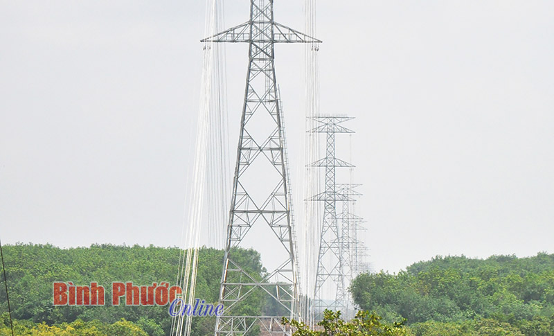 X&acirc;y dựng năng lực cho t&aacute;i định cư bắt buộc trong ng&agrave;nh năng lượng Việt Nam