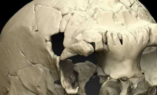 Phát hiện xương sọ bí ẩn 400.000 năm tuổi tại Bồ Đào Nha