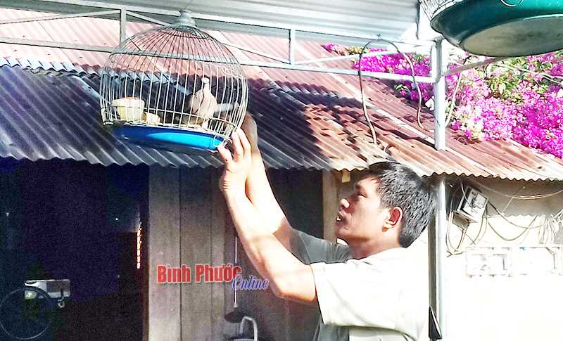 Nu&ocirc;i chim giữ nh&agrave;