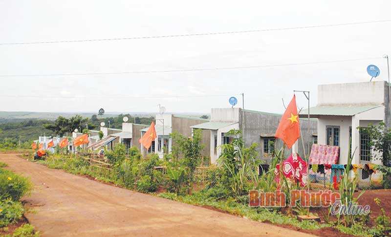 Xuân sớm trên khu định cư Tiểu khu 119