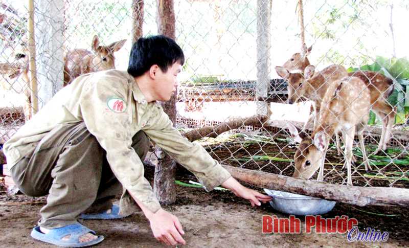 Bù Đăng: 12.445 nông dân được tập huấn khoa học - kỹ thuật