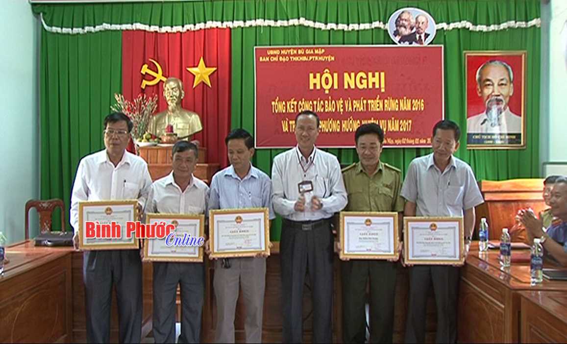BÙ GIA MẬP: 35 vụ vi phạm lâm luật