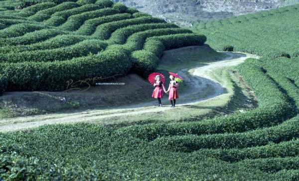 Đến Mộc Châu khám phá Tết của người Mông