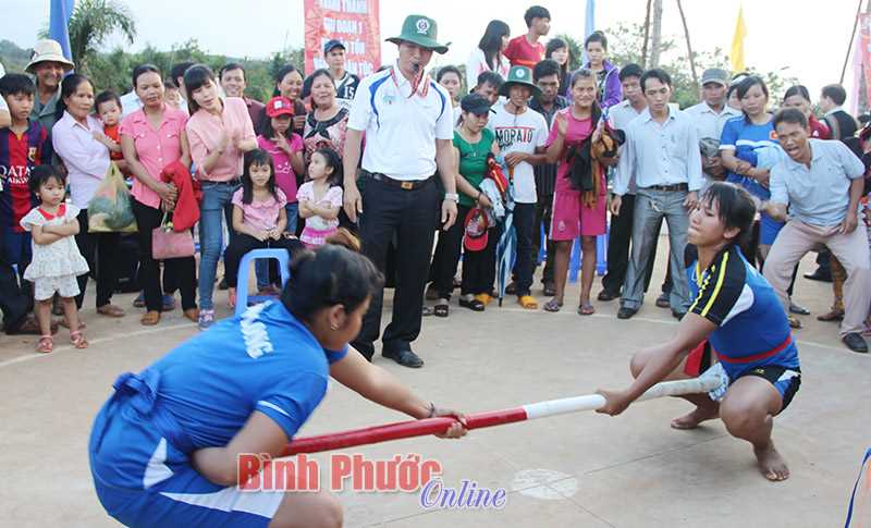 Nhiều hoạt động văn h&oacute;a, thể thao dịp Tết Nguy&ecirc;n đ&aacute;n Đinh Dậu 2017