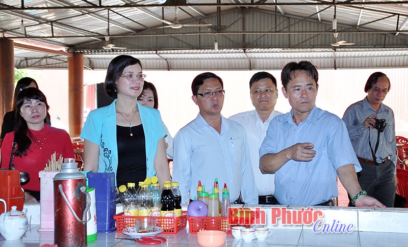 Ban văn h&oacute;a - x&atilde; hội HĐND tỉnh gi&aacute;m s&aacute;t c&ocirc;ng t&aacute;c quản l&yacute; nh&agrave; nước về lao động tại c&aacute;c KCN