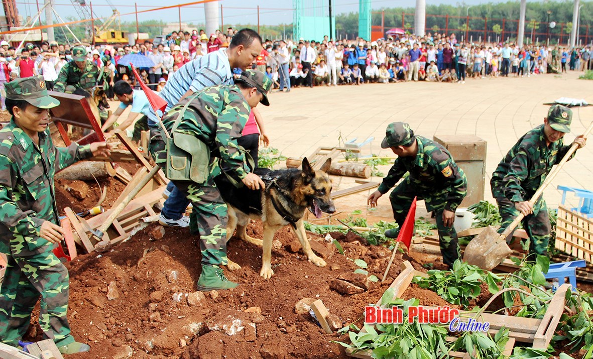Quan điểm của đảng v&agrave; Nh&agrave; nước về x&acirc;y dựng lực lượng BĐBP (B&agrave;i cuối)