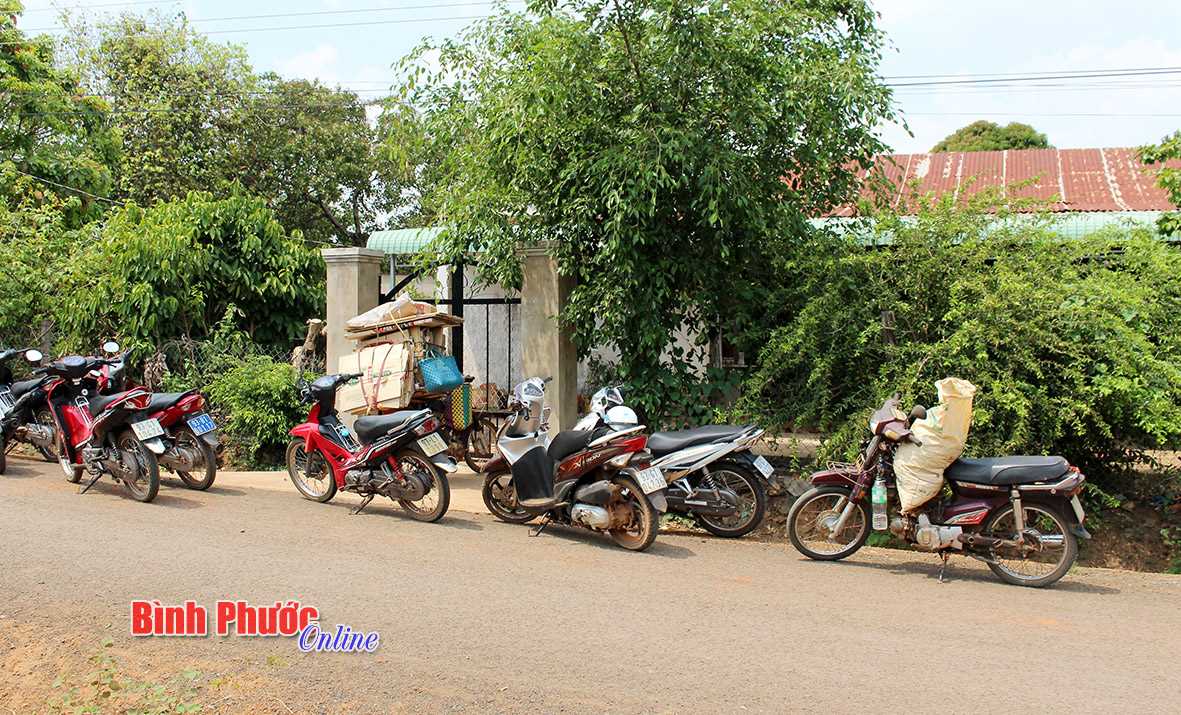 Cảnh giác với đạo chích mùa thu hoạch