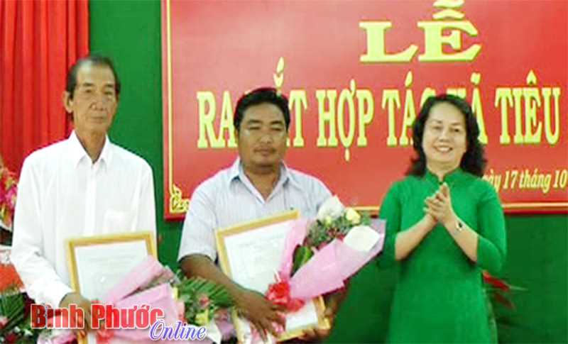 Liên kết sản xuất, chăn nuôi ở Lộc Ninh