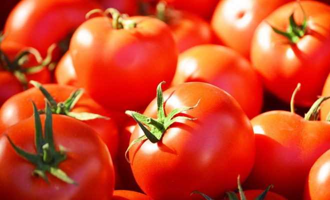 Công dụng thần kỳ của cà chua với sức khỏe cánh mày râu